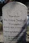 Bertinus Toubro.jpg